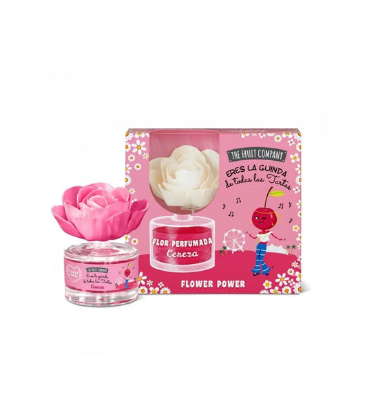 COFFRET FLEUR MIKADO CERISE