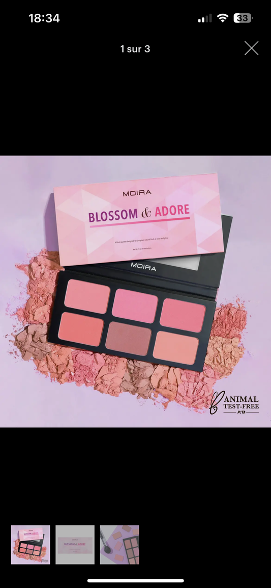 LA PALETTE DE FARD À JOUES MOIRA BLOSSOM & ADORE